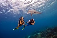 Recreational Adventure