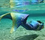 Mermaid - Petting Zoo