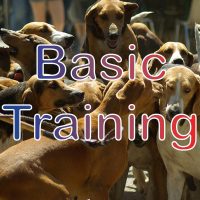 Pack - 99% untrained