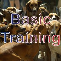 Basic Training