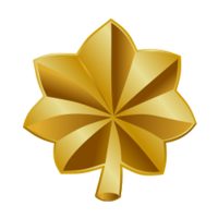 Major