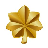 Major