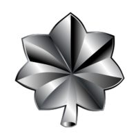 Lieutenant Colonel
