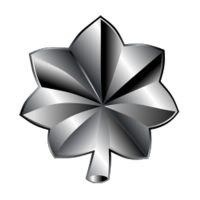 Lieutenant Colonel