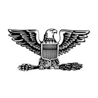 Colonel